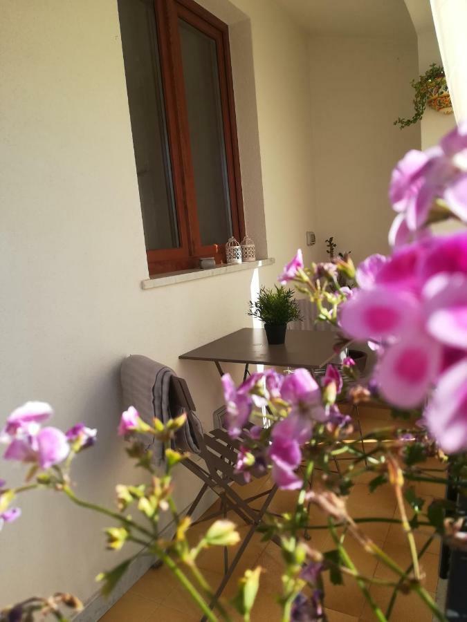 דירות קסטלבונו Casa Nicole מראה חיצוני תמונה